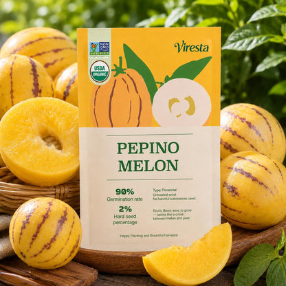 Pepino Melon Seeds for Planting,Sweet Pepino Seeds Non-GMO,Exotic Fruit Seed Heirloom for Outdoor Home Garden