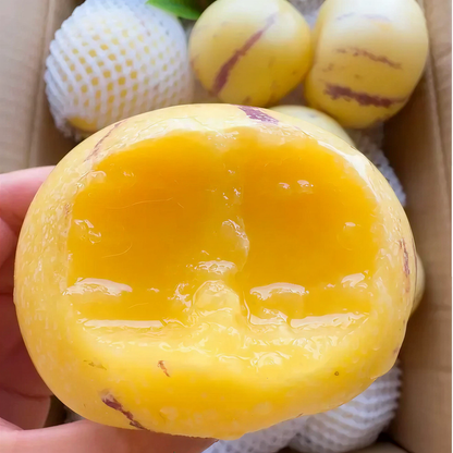Pepino Melon Seeds for Planting,Sweet Pepino Seeds Non-GMO,Exotic Fruit Seed Heirloom for Outdoor Home Garden