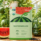 Mini Watermelon Seeds I Extra Sweet Small WatermelonIHigh Germination Rate I Compact Fruit Variety I Container &Garden Growing I Balcony Patio Backyard I Easy to Grow IBeginner Friendly I Non-GMO Watermelon Seeds, Home Planting Seeds, Vegetable Seeds