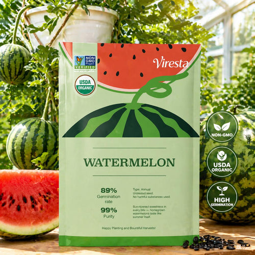 Mini Watermelon Seeds I Extra Sweet Small WatermelonIHigh Germination Rate I Compact Fruit Variety I Container &Garden Growing I Balcony Patio Backyard I Easy to Grow IBeginner Friendly I Non-GMO Watermelon Seeds, Home Planting Seeds, Vegetable Seeds