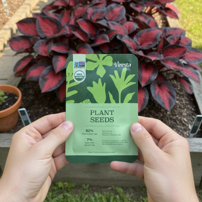 Black Red Hosta Seeds, Exotic Bicolor Foliage PerennialPlants, Shade Tolerant, Easy to Grow, Striking Contrast forDramatic Garden Appeal Ideal for Gardeners