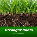 VIRESTA Cold-Hardy Fall Turf Grass Seeds Mix, Cool-Season Lawn Seed Blend with Ryegrass & Kentucky Bluegrass, Fast Germination, Frost Resistant for Overseeding & Lawn Repair (Full Sun/Shade Compatibility), Kentucky Bluegrass Grass