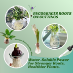 VIRESTA Rooting Drops for Plant Cuttings