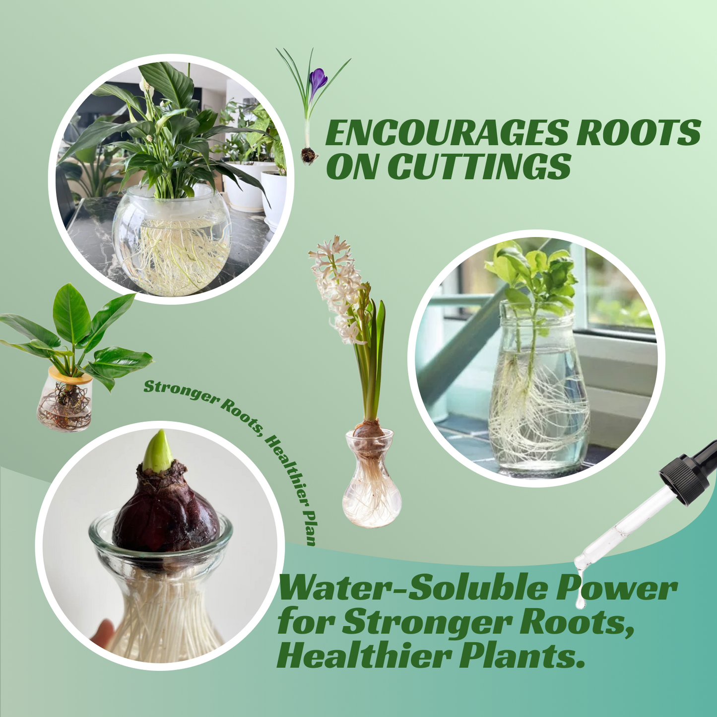 VIRESTA Rooting Drops for Plant Cuttings