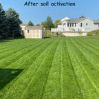Viresta Soil Revitalizer - Yields 266 Gallons