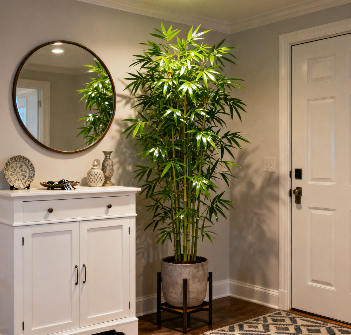 Lucky Bamboo Cypress Seeds - Decorative Bamboo Plant Seeds for Beginners, Indoor Low-Light Houseplants with Positive Energy, Adds a Calming Touch to Any Room, Feng Shui Garden Supplies - Image 7