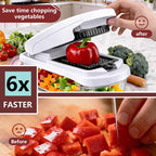 Snofrid 15-in-1 Vegetable Chopper with 8 Blades & Container