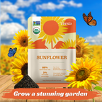 Sunflower Seeds for Planting | Heirloom Seeds | High Germination, Open Pollinated Sunflower Seeds to Plant for Home Garden, Outdoors & Attracts Pollinators