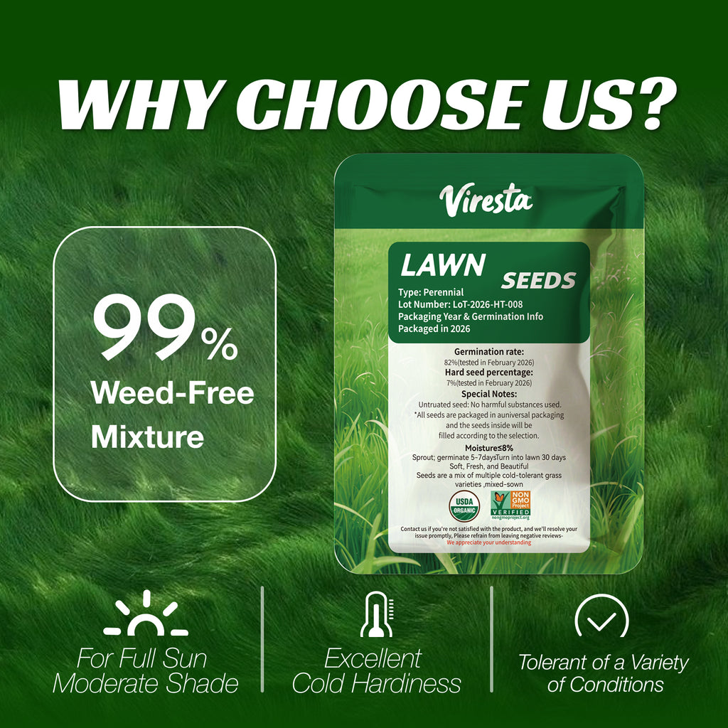 VIRESTA Cold-Hardy Fall Turf Grass Seeds Mix, Cool-Season Lawn Seed Blend with Ryegrass & Kentucky Bluegrass, Fast Germination, Frost Resistant for Overseeding & Lawn Repair (Full Sun/Shade Compatibility), Kentucky Bluegrass Grass