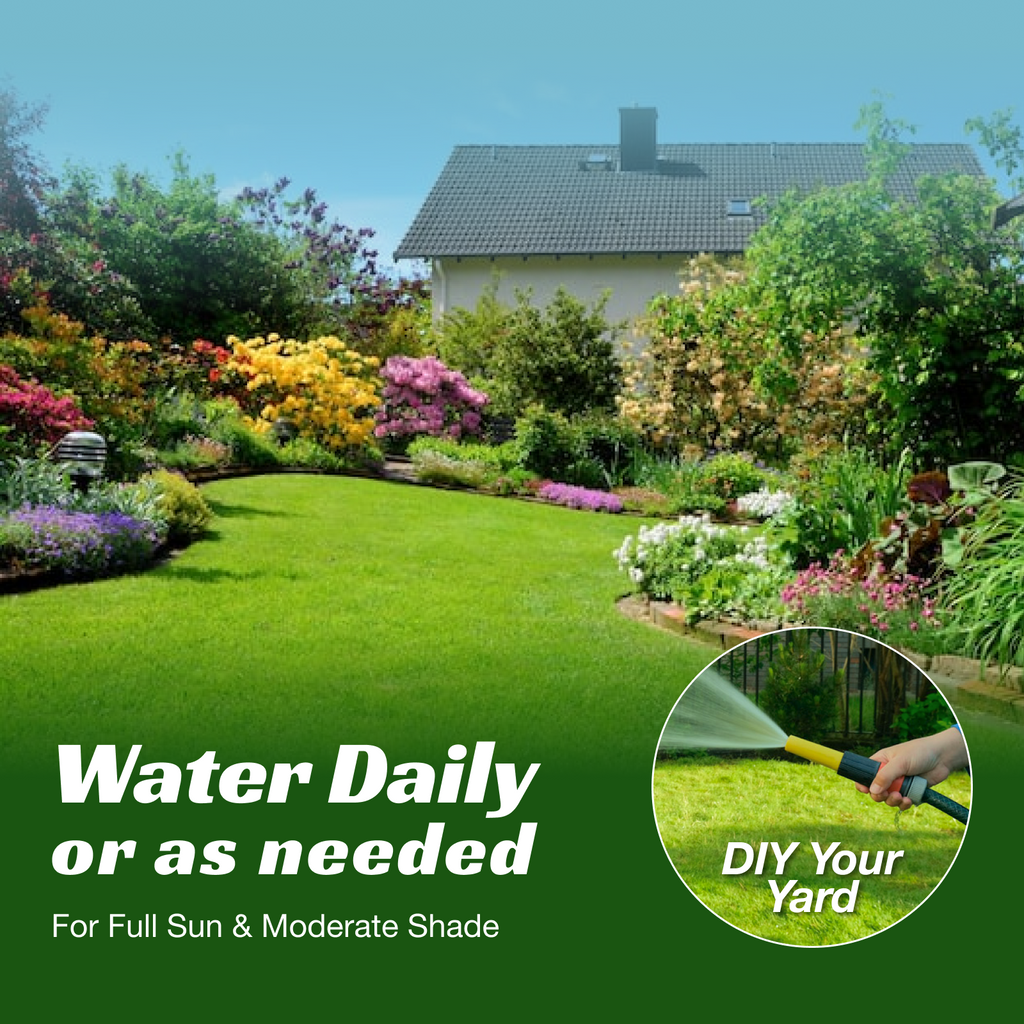 VIRESTA Cold-Hardy Fall Turf Grass Seeds Mix, Cool-Season Lawn Seed Blend with Ryegrass & Kentucky Bluegrass, Fast Germination, Frost Resistant for Overseeding & Lawn Repair (Full Sun/Shade Compatibility), Kentucky Bluegrass Grass