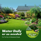 VIRESTA Cold-Hardy Fall Turf Grass Seeds Mix, Cool-Season Lawn Seed Blend with Ryegrass & Kentucky Bluegrass, Fast Germination, Frost Resistant for Overseeding & Lawn Repair (Full Sun/Shade Compatibility), Kentucky Bluegrass Grass