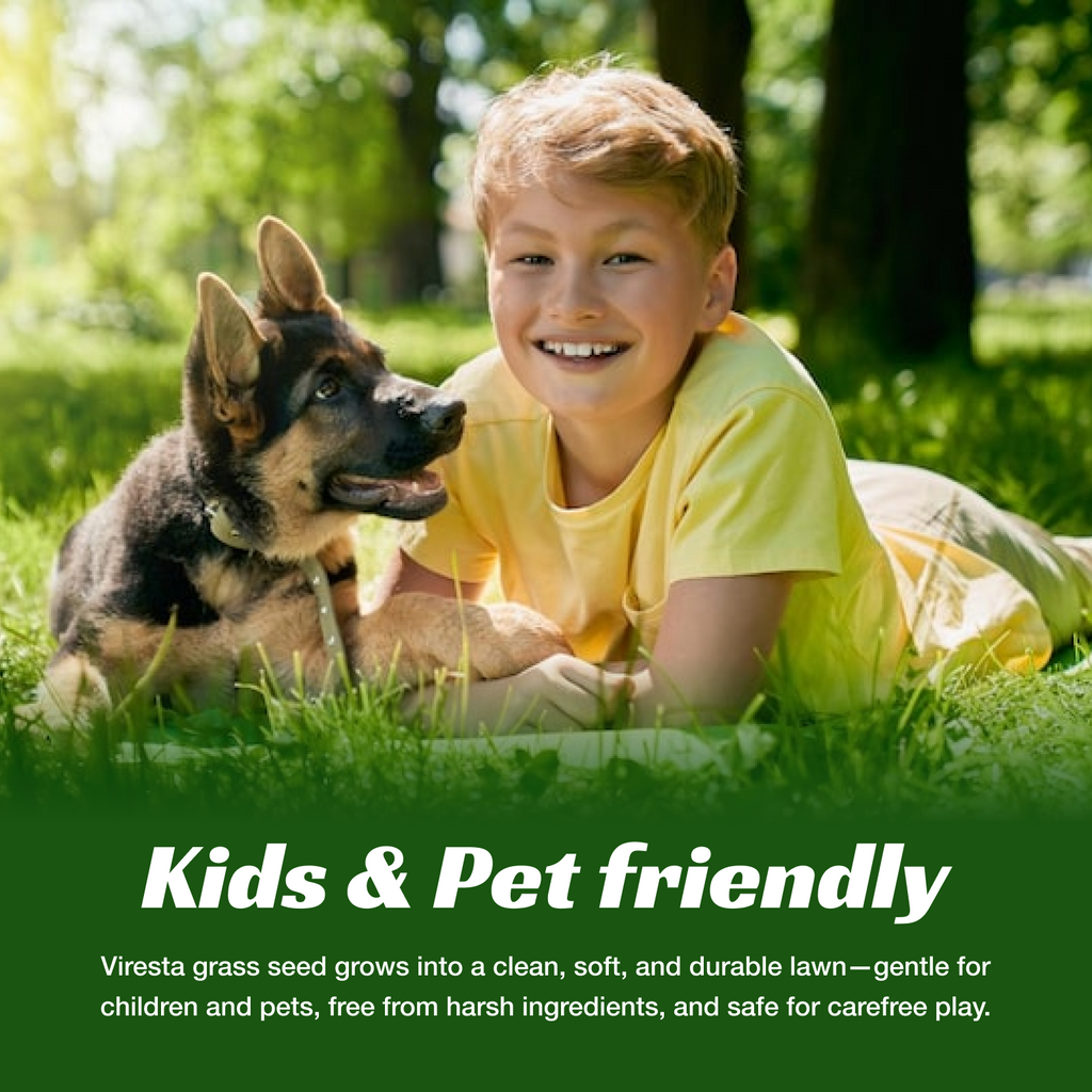 VIRESTA Cold-Hardy Fall Turf Grass Seeds Mix, Cool-Season Lawn Seed Blend with Ryegrass & Kentucky Bluegrass, Fast Germination, Frost Resistant for Overseeding & Lawn Repair (Full Sun/Shade Compatibility), Kentucky Bluegrass Grass