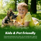 VIRESTA Cold-Hardy Fall Turf Grass Seeds Mix, Cool-Season Lawn Seed Blend with Ryegrass & Kentucky Bluegrass, Fast Germination, Frost Resistant for Overseeding & Lawn Repair (Full Sun/Shade Compatibility), Kentucky Bluegrass Grass
