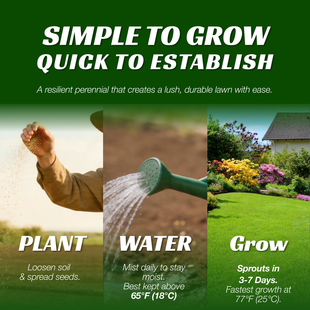 VIRESTA Cold-Hardy Fall Turf Grass Seeds Mix, Cool-Season Lawn Seed Blend with Ryegrass & Kentucky Bluegrass, Fast Germination, Frost Resistant for Overseeding & Lawn Repair (Full Sun/Shade Compatibility), Kentucky Bluegrass Grass