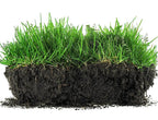 Viresta Soil Revitalizer - Yields 266 Gallons