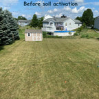 Viresta Soil Revitalizer - Yields 266 Gallons