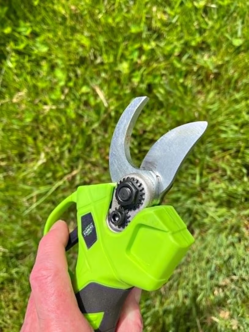 Customer photo of the pruning scissors in use