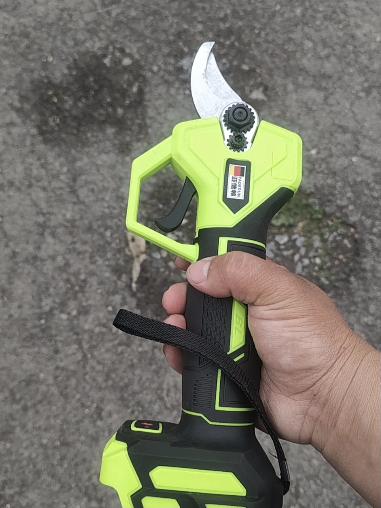 Customer photo holding the electric pruning shears