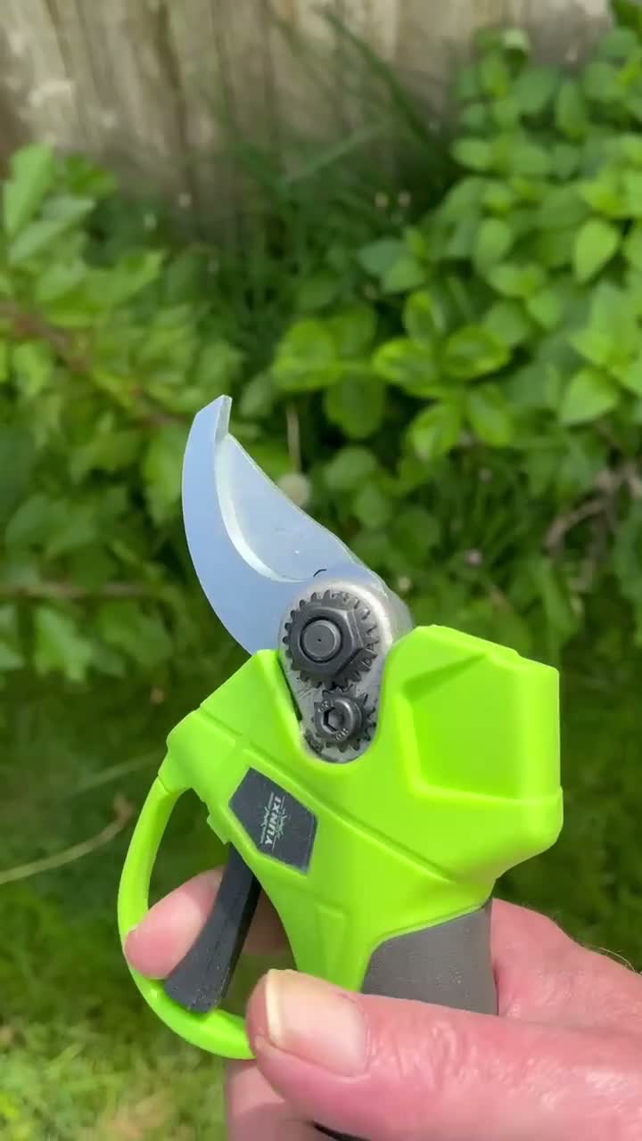 Customer pruning video preview