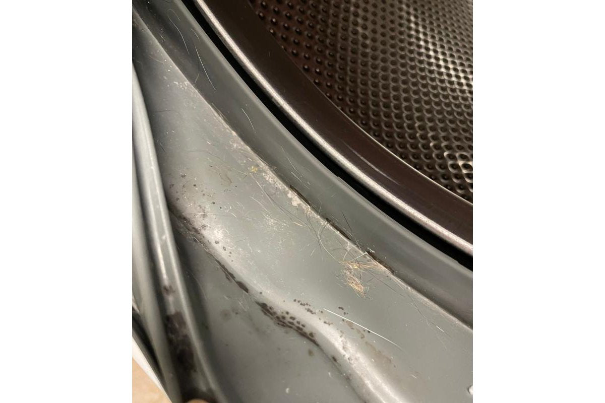 Customer washing machine cleaner photo from Guest
