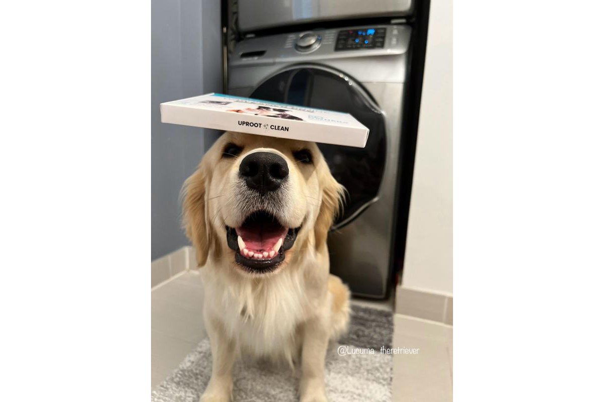 Customer washing machine cleaner photo from Lucuma _.