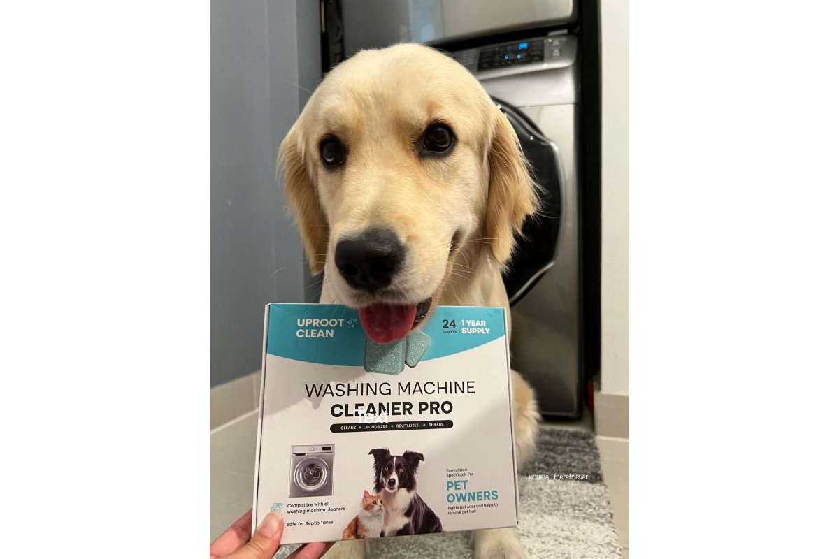 Customer washing machine cleaner photo from Lucuma _.